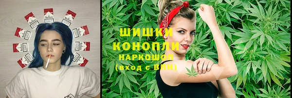 мяу мяу кристалл Няндома