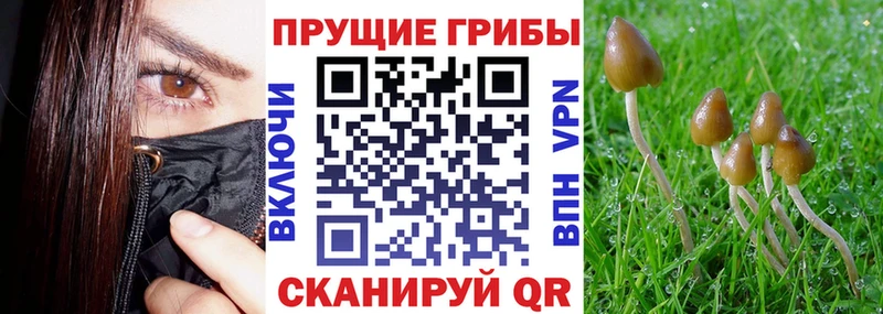 Псилоцибиновые грибы MAGIC MUSHROOMS  Шумерля 